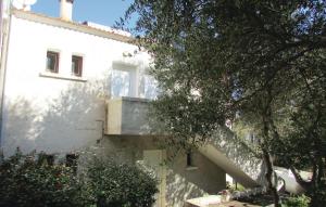 Appartements Beautiful apartment in Algajola with : photos des chambres