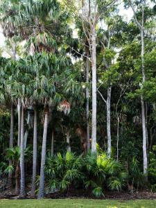 Tallowwood House Luxury Bed & Breakfast