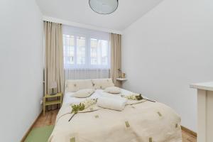 Wrocław City Centre & Main Square Apartment by Renters