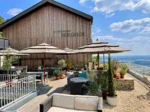 施雷纳斯伯格霍夫酒店 - Neustift an der Lafnitz