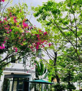 Haradise Suite Villa & Homestay Ha Long