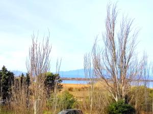 T2 Climatisé à 5 min de la Plage Calme & Confort - 5