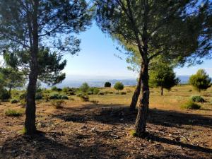 El mirador de Granada