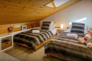 Chalets Chalet Aravista - OVO Network : photos des chambres