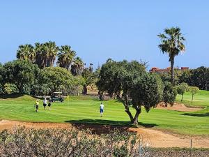 Ap Majorero Caleta Golf