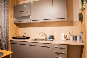 Apartamenty Dwupoziomowe u Ciotki