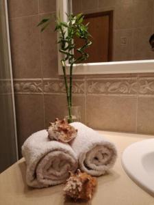 Ocean View - Villa Baleal