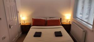 Birds Nest - Surrey Quays