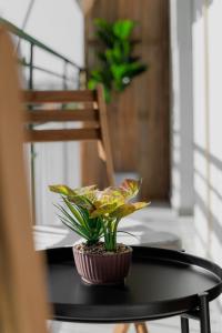 Sunny & Modern apt for 3 persons