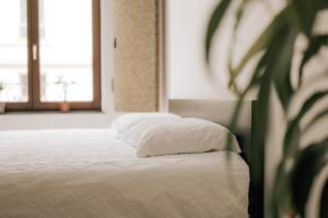 Cozy Apartment in Brussels