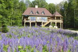 Eagle's Nest - غرينفيل