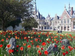 Maisons de vacances Maison avec jardin proche mer et port : photos des chambres