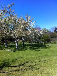 Miera osta atpūtai Skultē Garāža
