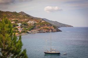 Appartements Apartment in Macinaggio by the Beach : photos des chambres
