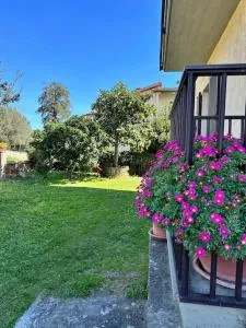 Appartamento Albatros - Casael di Pietro