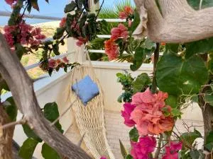 Terra Kriola - Espingueira