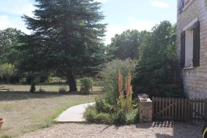 Appartements La Plage 2 : photos des chambres