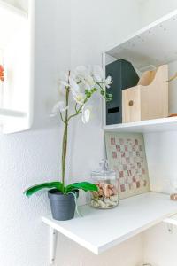 Appartements Gare Hypercentre - Wifi - Calme - Netflix : photos des chambres