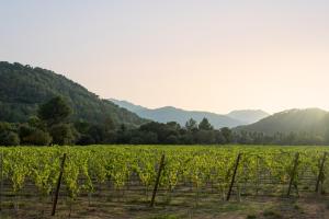 Rondaia, a Winery & Fincahotel-Agroturismo in Tramuntana