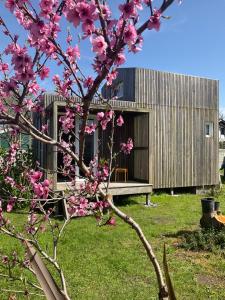 Maisons de vacances Petite Maison Contemporaine : photos des chambres