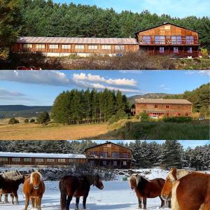 B&B / Chambres d'hotes Gite Ranch Le Serpolet : photos des chambres