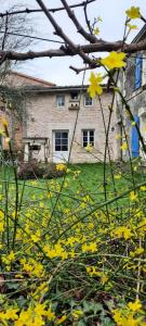 Maisons d'hotes Le Four a pain d'Argentieres : photos des chambres