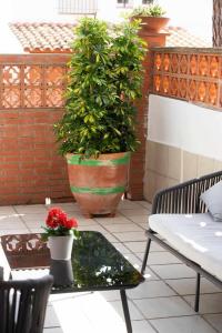 Agradable y tranquilo apto a 500m de la playa