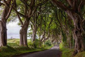 Causeway Coast Sea Shore Apartment - Ballycastle