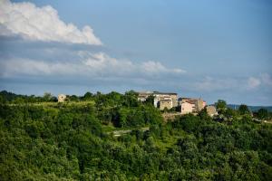 ADQ Abbraccio della quercia