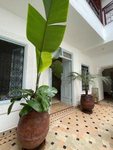 Riad Vivre - Design Boutique Riad in Marrakech