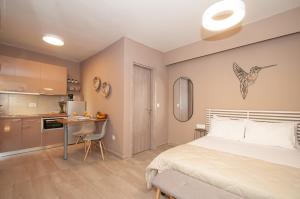 Superior Studio room in New Town Apartments