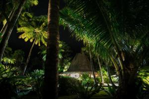 Qamea Island, off Taveuni, Fiji.