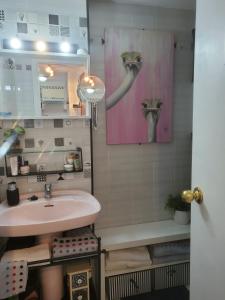 Espectaculares vistas