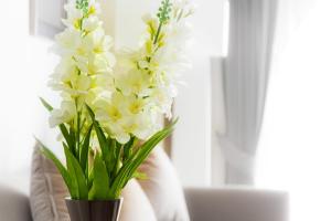 SN Plus Hotel - SHA Plus