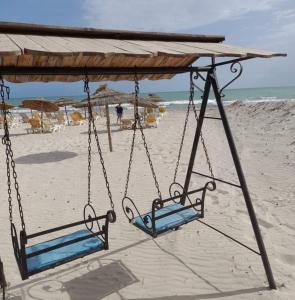 Zenon Djerba