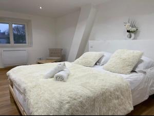 Appartements Le Duplex - Gare / Tram / Netflix : photos des chambres