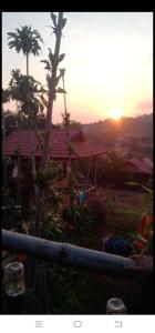 Happy bungalow & trekking