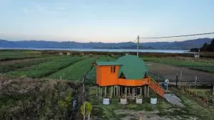 Glamping y Cabañas el Encanto- los novios - Suse