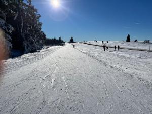 Maisons de vacances Gite de montagne -Bellefosse Alsace : photos des chambres