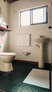 Volare Guatapé isla de descanso y retiro