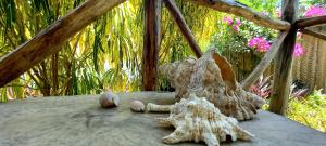 Morningstar Bungalows Zanzibar