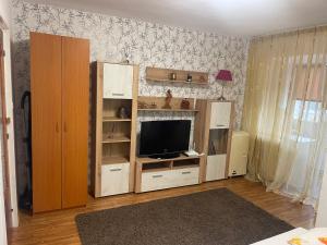 Garsoniera -Single Room 91