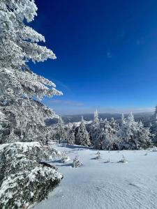 Podgrzewany basen, sauna, nowy Revist Szklarska B7