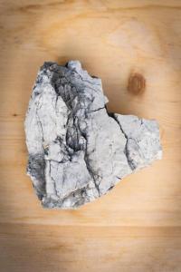 Basecamp Salzkammergut - Exklusives Apartment mitten im Salzkammergut