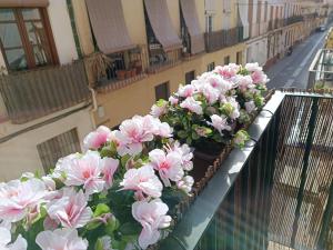 NEW! Luxury CITY CENTER & 2 BALCONIES