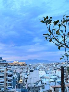sky inn with wonderful Acropolis view in Neos kosmos