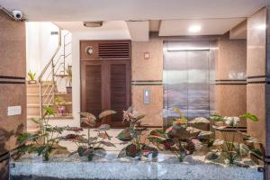 Homlee-Basement Flat with kitchen in Saket, South Delhi