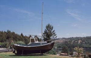 Medronho DOuro bungalows