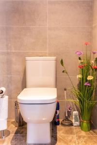 Central Dublin Apartment