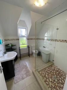 De Blauwvoet - Meerkat (Sunset Beach)